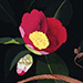 Masayasu Uchida Gallery